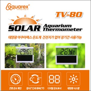다팜아쿠아 아쿠아렉스 TV-80 태양광 온도계
