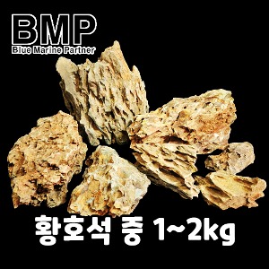 다팜아쿠아 BMP 수조 레이아웃 황호석 중 1kg~2kg (사이즈 랜덤)