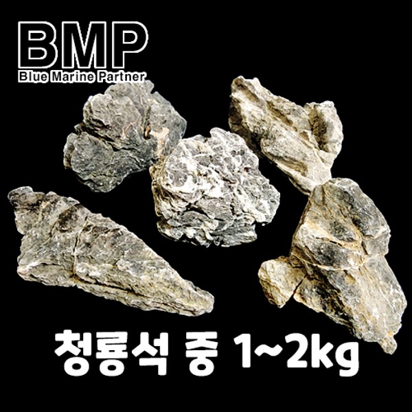 다팜아쿠아 BMP 수조 레이아웃 청룡석 중 1kg~2kg (사이즈 랜덤)
